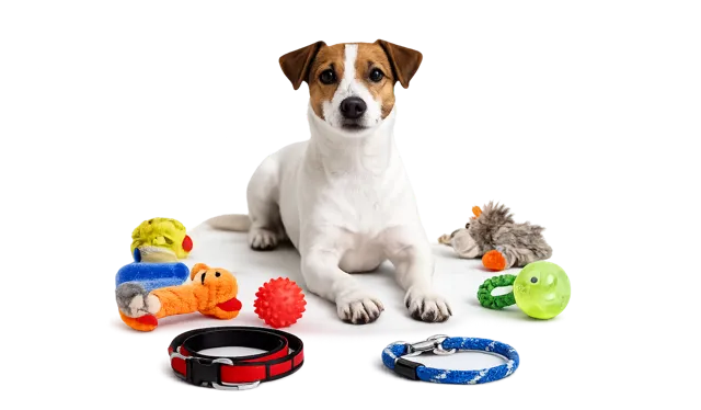 Best-selling pet favorites for U.S. households