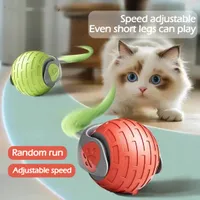 Interactive Rolling Ball for Pets