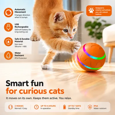 Interactive Pet Ball