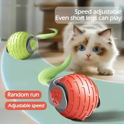 Interactive Rolling Ball for Pets
