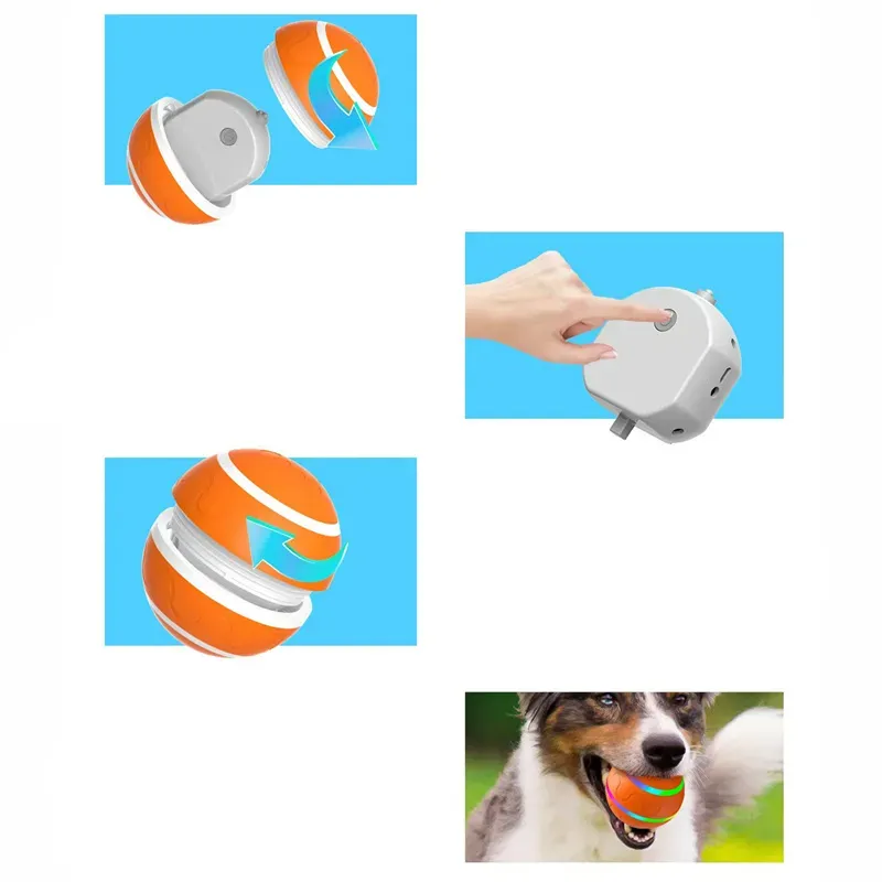 Interactive Pet Ball
