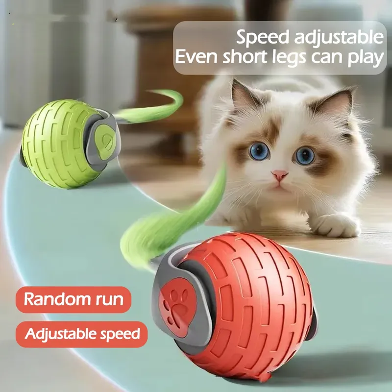 Interactive Rolling Ball for Pets